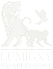 Lumigny Safari Reserve